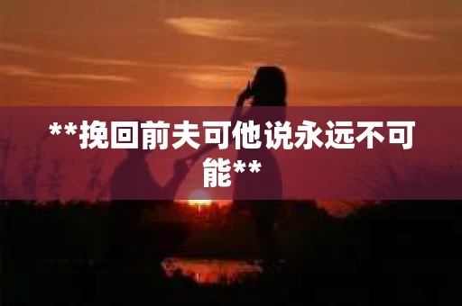 **挽回前夫可他说永远不可能**