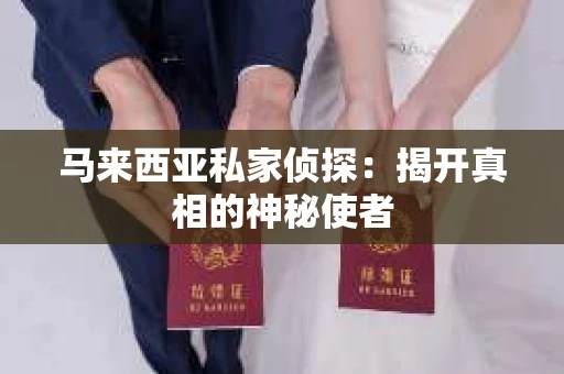 马来西亚私家侦探：揭开真相的神秘使者