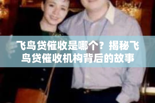 飞鸟贷催收是哪个？揭秘飞鸟贷催收机构背后的故事