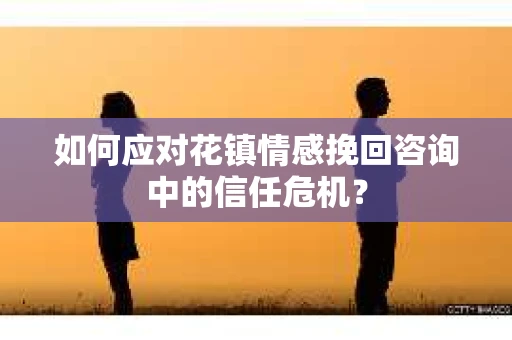 如何应对花镇情感挽回咨询中的信任危机？