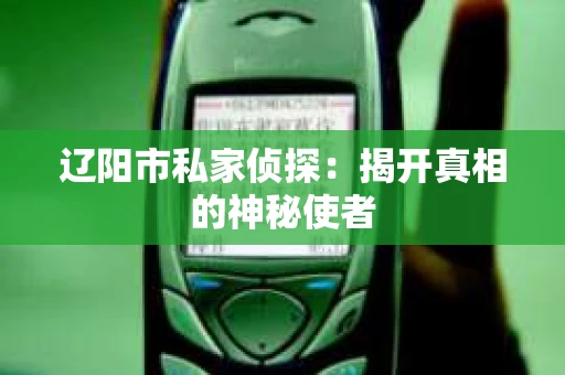辽阳市私家侦探：揭开真相的神秘使者