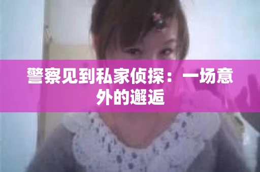 警察见到私家侦探：一场意外的邂逅