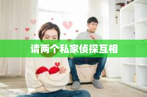请两个私家侦探互相