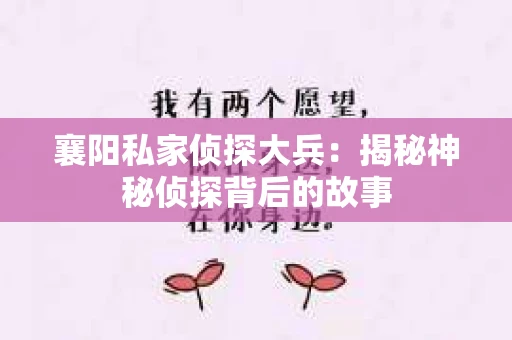 襄阳私家侦探大兵：揭秘神秘侦探背后的故事