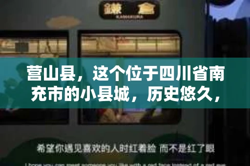 营山县，这个位于四川省南充市的小县城，历史悠久，风景秀丽。但在这个宁静的小县城里，你是否会好奇，有没有私家侦探的存在呢？今天，我就来和大家聊聊这个话题。