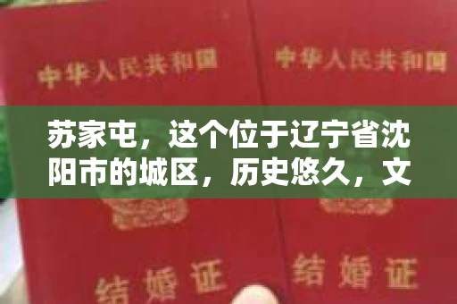 苏家屯，这个位于辽宁省沈阳市的城区，历史悠久，文化底蕴深厚。近年来，随着社会的发展，人们对于私家侦探的需求也逐渐增加。那么，苏家屯有私家侦探吗？今天，我们就来聊聊这个话题。