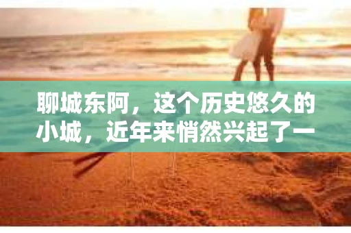 聊城东阿，这个历史悠久的小城，近年来悄然兴起了一股新的服务潮流——私家侦探。今天，我们就来聊聊这个话题，看看在聊城东阿，私家侦探是如何成为人们生活中的一部分的。