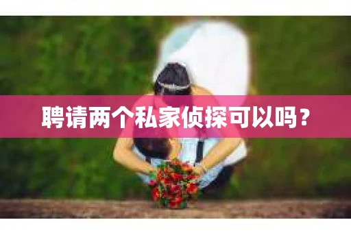 聘请两个私家侦探可以吗? 聘请两个私家侦探可以吗?