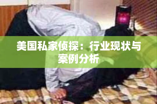 美国私家侦探：行业现状与案例分析