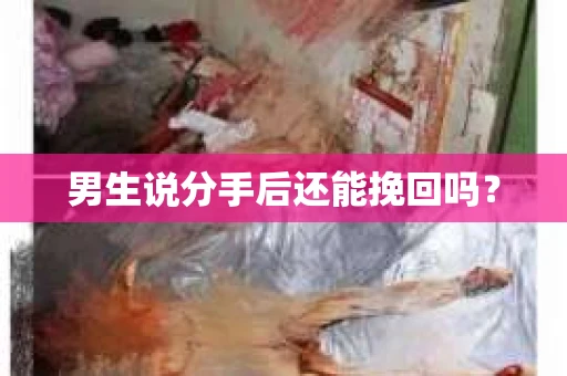 男生说分手后还能挽回吗？