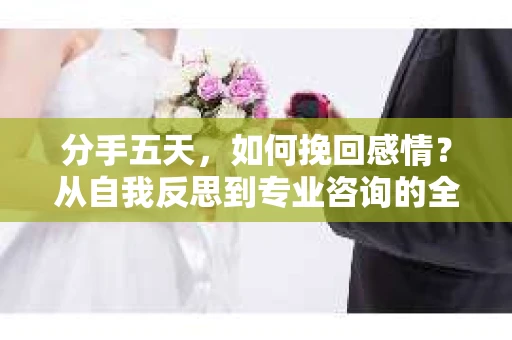 分手五天，如何挽回感情？从自我反思到专业咨询的全面解决方案